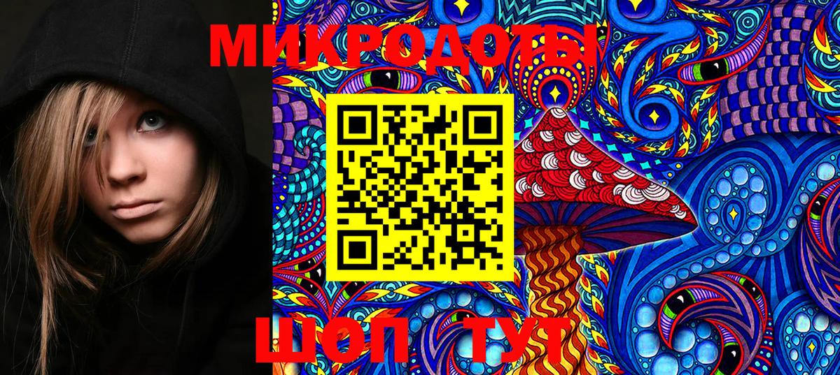 Псилоцибиновые грибы GOLDEN TEACHER Луга