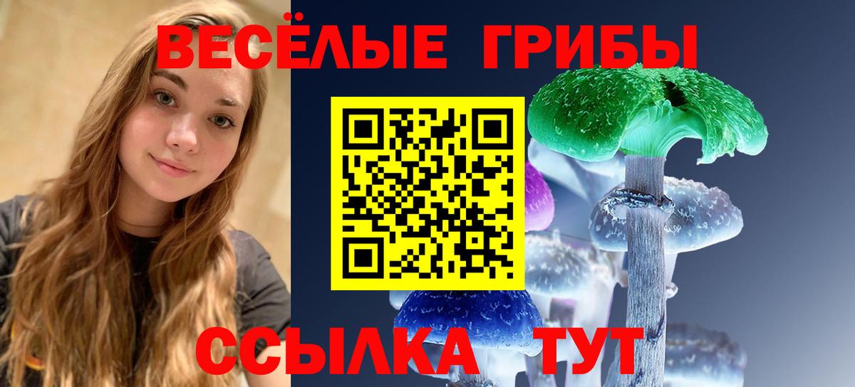 Псилоцибиновые грибы Psilocybine cubensis  Вход с VPN  Луга 